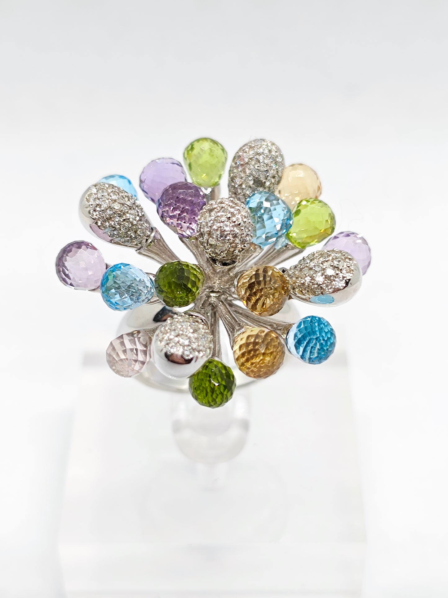 WG Fanci Aurora R3647