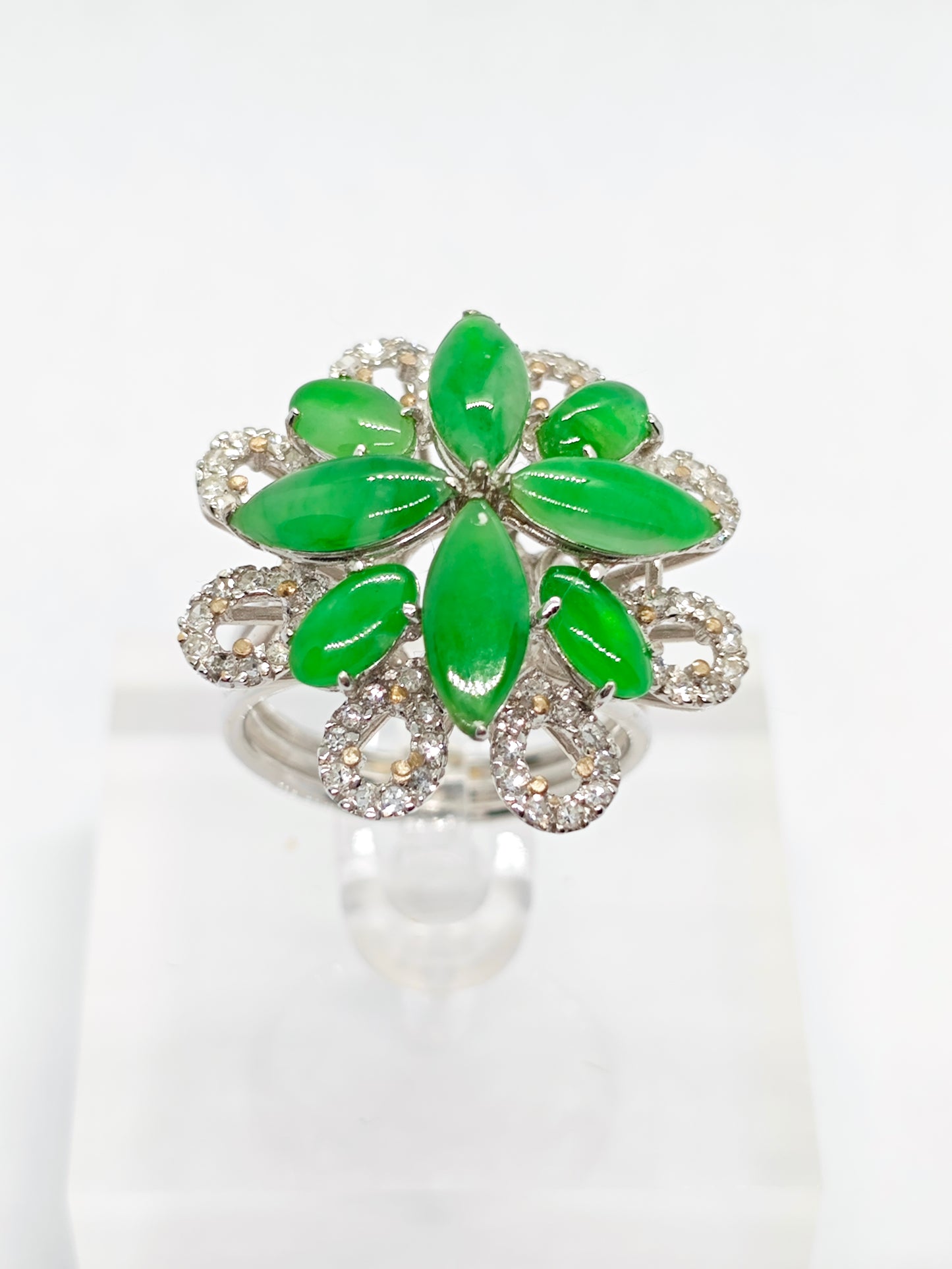 WG Jade Harmony R3626