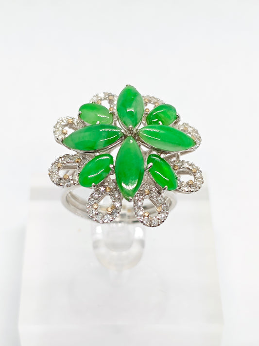 WG Jade Harmony R3626