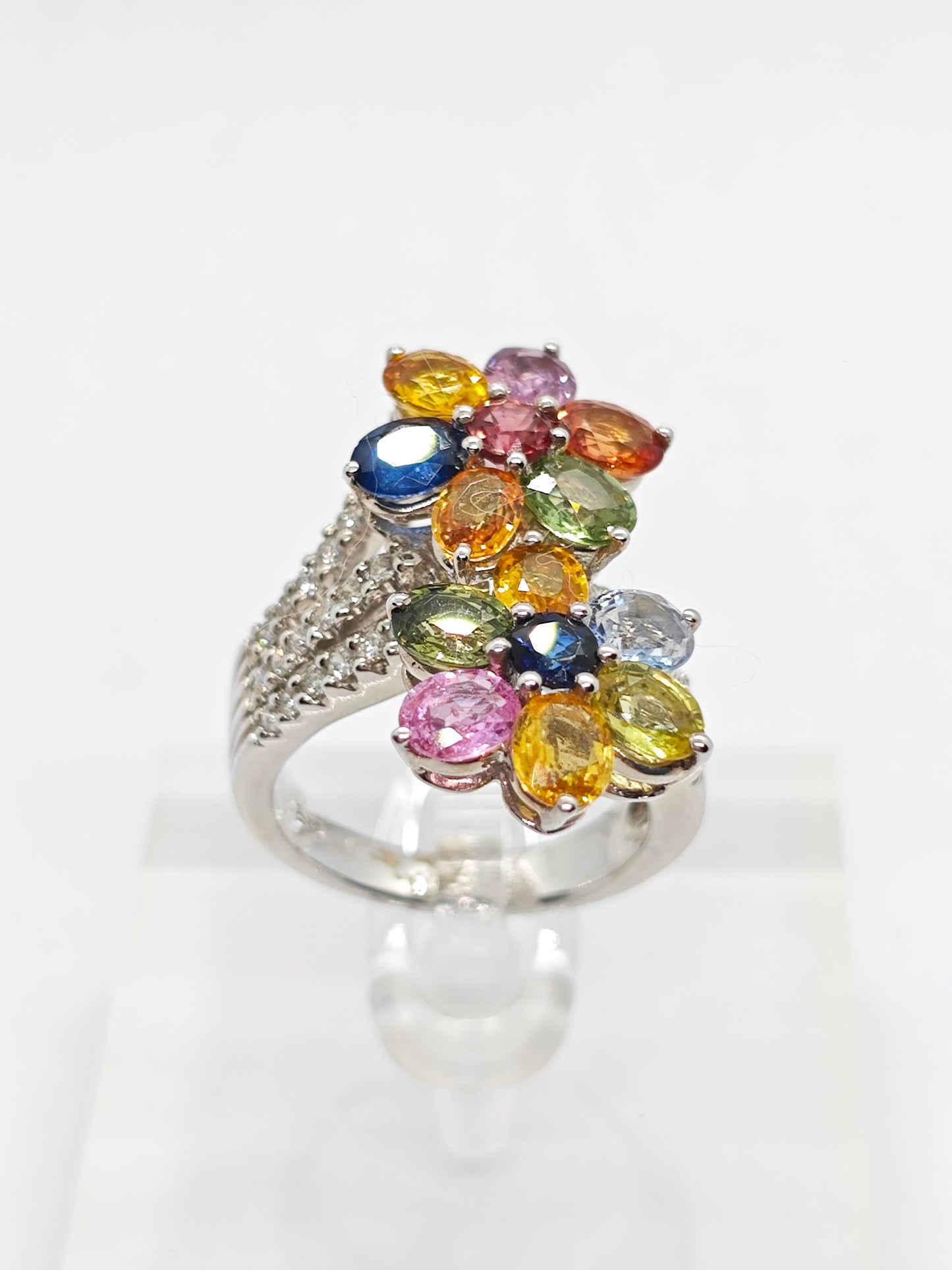 WG Fanci Aurora R3644