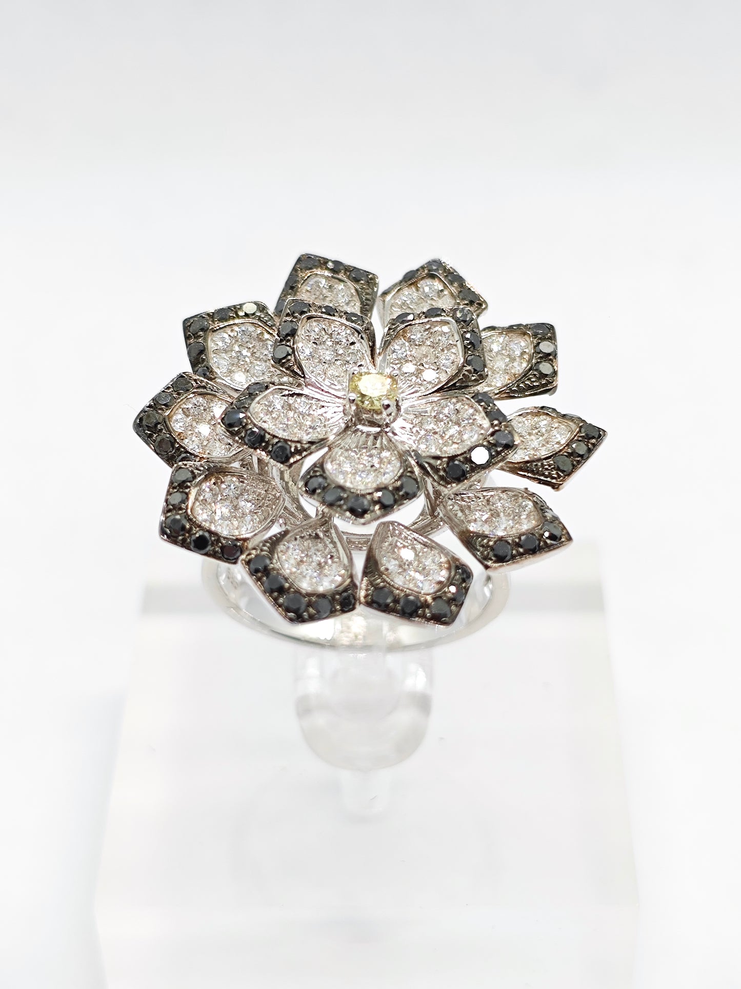 WG Diamond Noir R4237