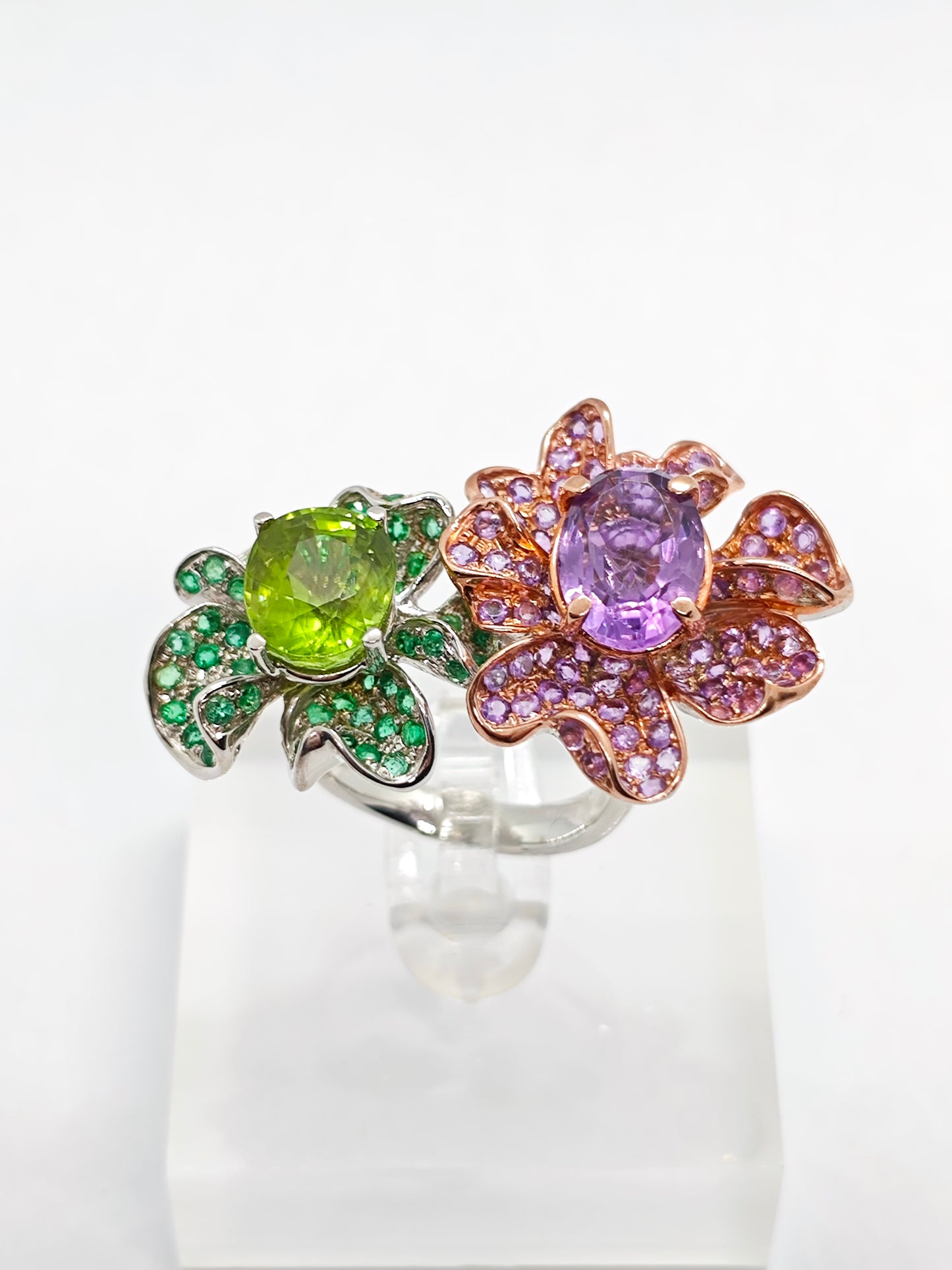 WG Fanci Aurora R4448