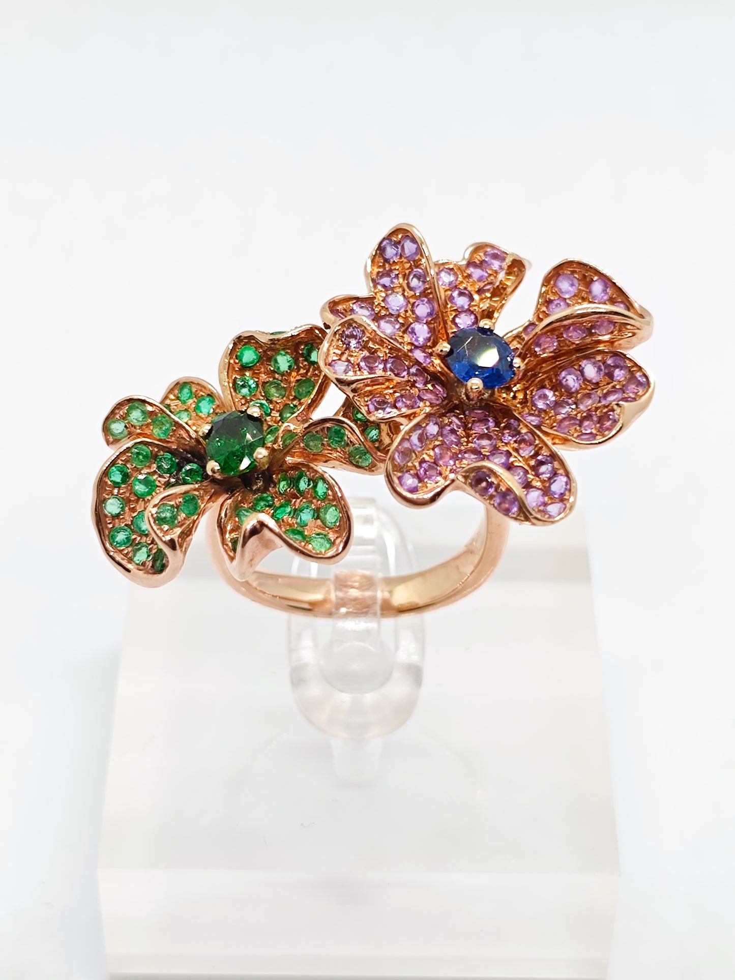 WG Fanci Aurora R4460